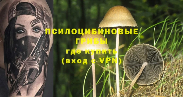 Альфа ПВП Алексин