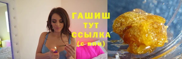 стаф Алзамай