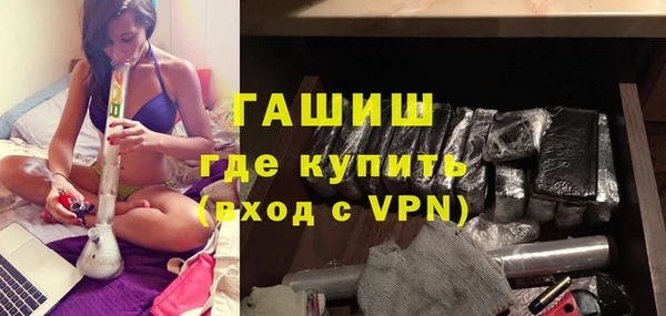 стаф Алзамай