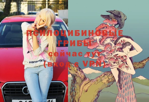 стаф Алзамай