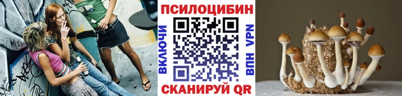 Псилоцибиновые грибы MAGIC MUSHROOMS  Катав-Ивановск 
